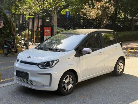 JAC (Sihao) 花仙子 2021