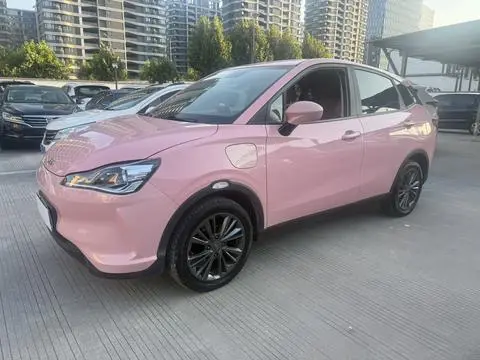 NETA V 2021