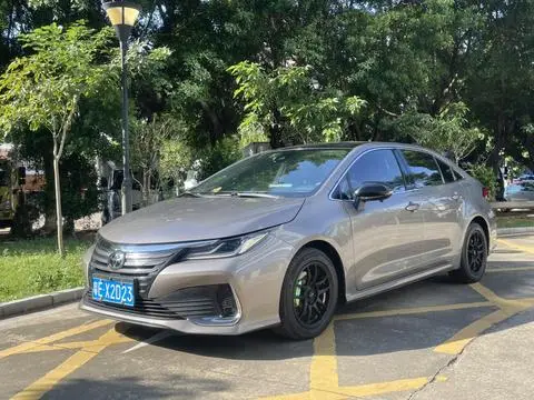 Toyota 亚洲狮 2021