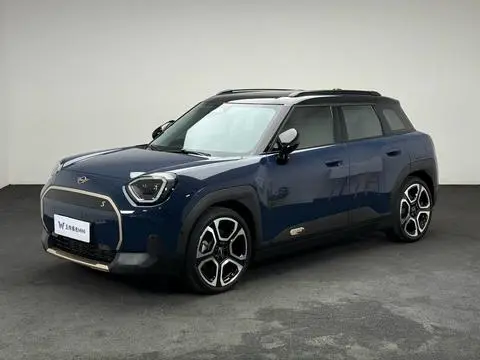 MINI MINI ACEMAN 2025