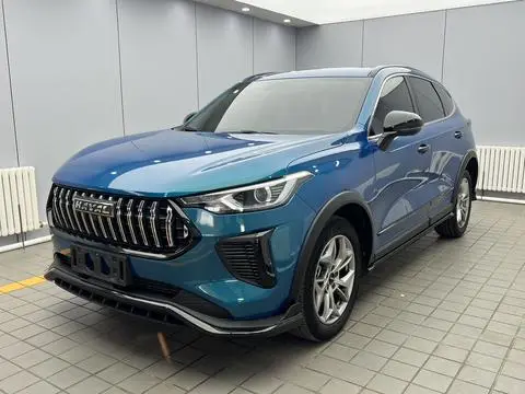 Haval 赤兔 2022