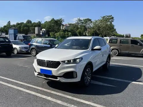 Wey VV6 2018