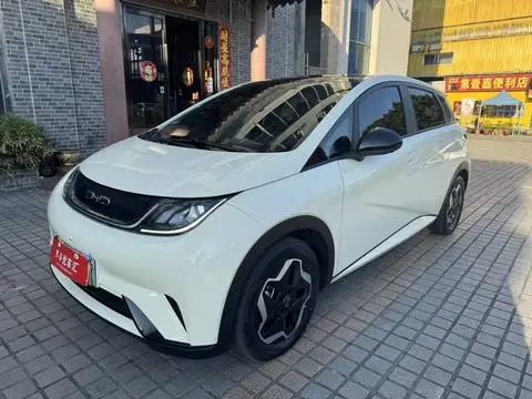 BYD Dolphin 2021 — фото 1