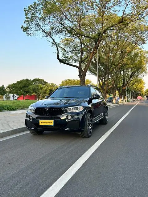 BMW X5 2017