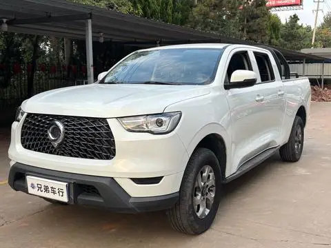 Great Wall 炮 2021