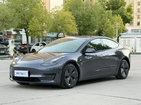 Tesla Model 3 2021 — фото 1