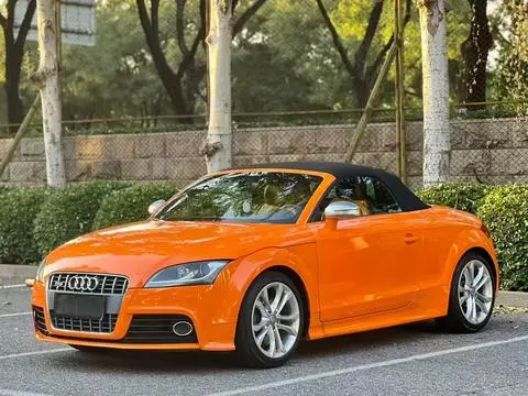 Audi TTS 2008