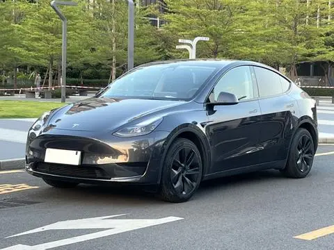 Tesla Model Y 2024 — фото 1