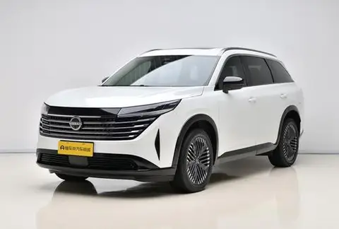 Nissan 探陆 2024