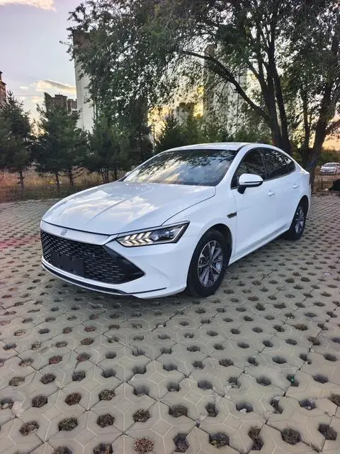BYD 秦PLUS DM 2024