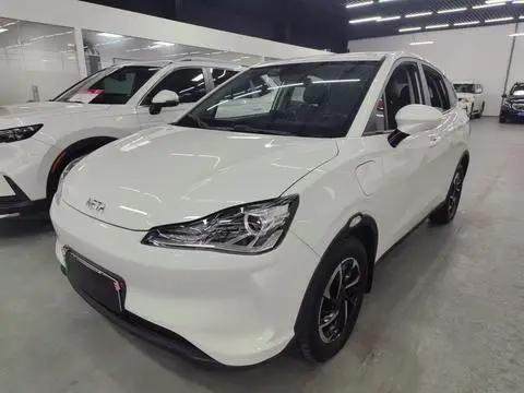 NETA V 2021
