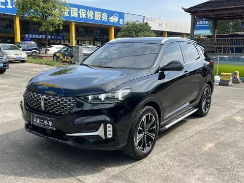 Wey VV6 2021