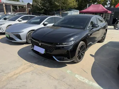 Voyah 追光 PHEV 2024