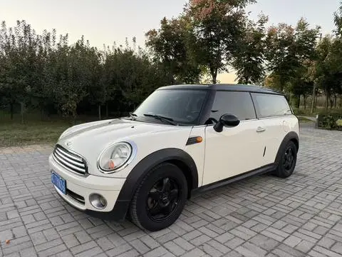 MINI MINI 2010
