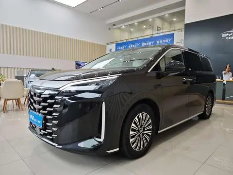 BYD 夏 2025