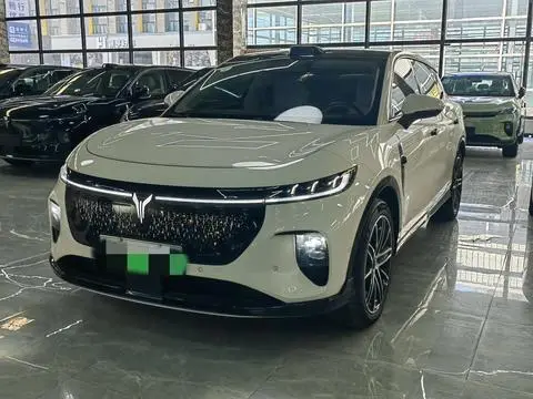 Voyah 知音 2025