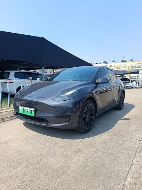 Tesla Model Y 2024 — фото 1