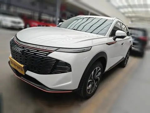 Haval 神兽 2021