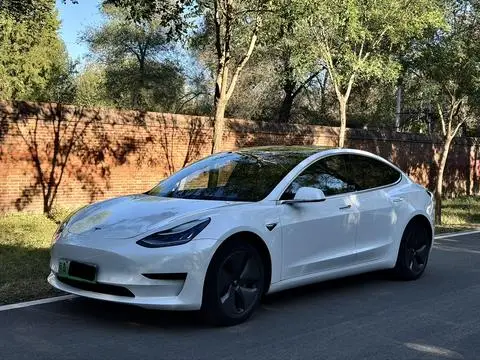 Tesla Model 3 2019