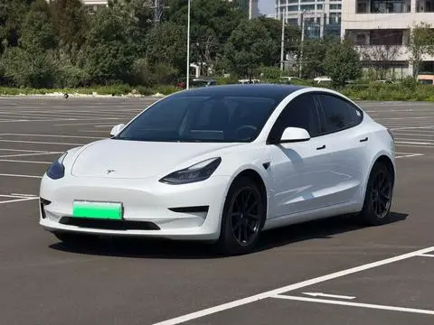 Tesla Model 3 2021 — фото 1