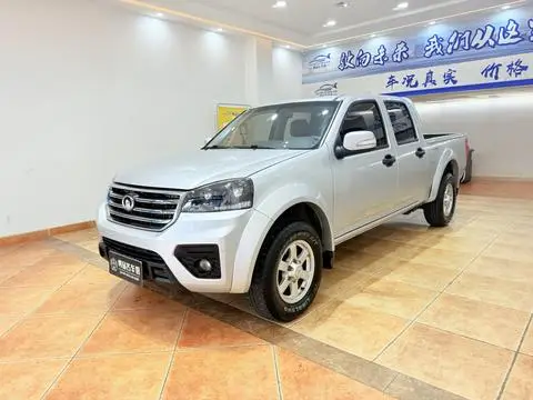 Great Wall 风骏5 2021