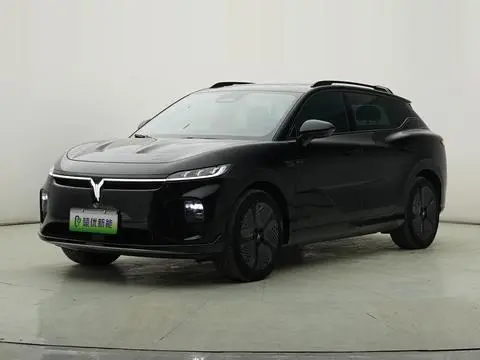 Voyah 知音 2024