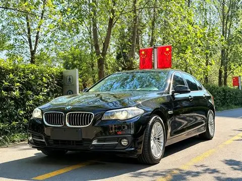 BMW 5 Series 2014 — фото 1