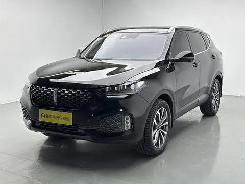 Wey VV6 2020