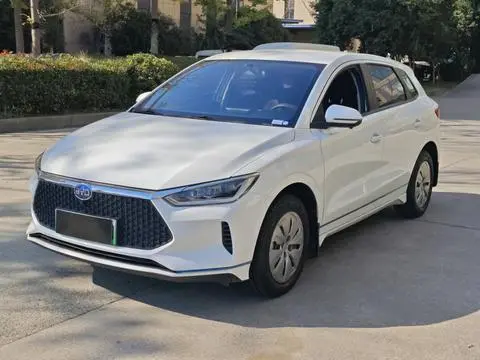 BYD e2 2019