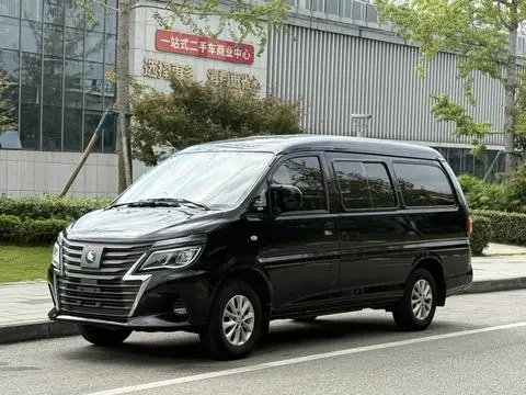 Forthing Lingzhi新能源 2024