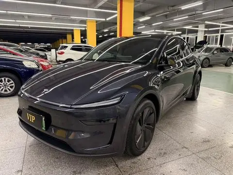 Tesla Model Y 2025 — фото 1