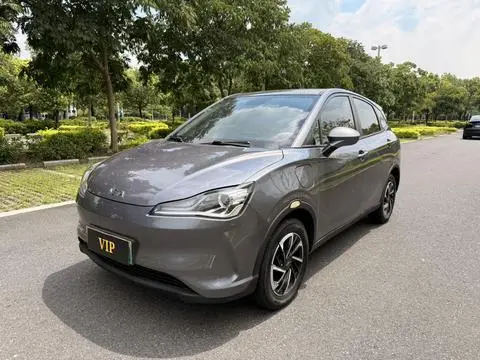 NETA V 2021