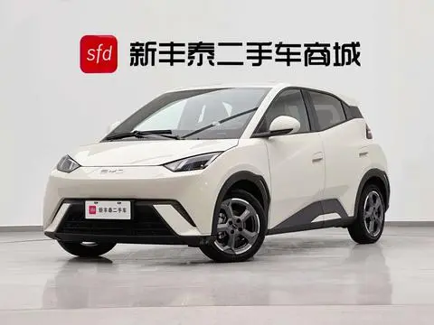 BYD Seagull 2024