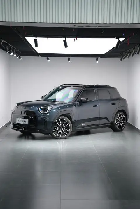 MINI MINI ACEMAN 2024
