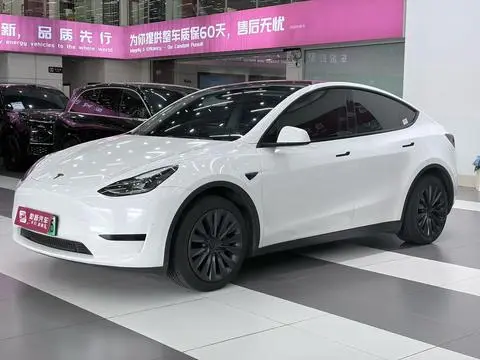 Tesla Model Y 2024 — фото 1
