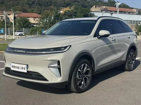 Haval 枭龙MAX 2025