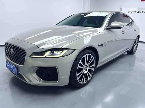 Jaguar XFL 2024