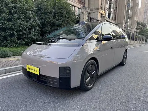 Li MEGA 2024