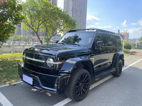TANK 赛博坦克300 2023