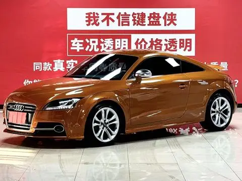 Audi TTS 2013