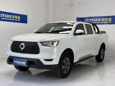 Great Wall 炮 2021