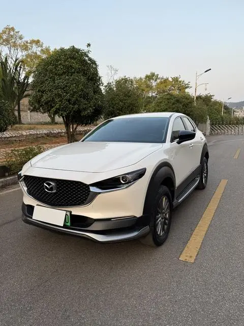 Mazda CX-30 EV 2021