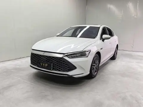 BYD 秦PLUS DM 2021 — фото 1