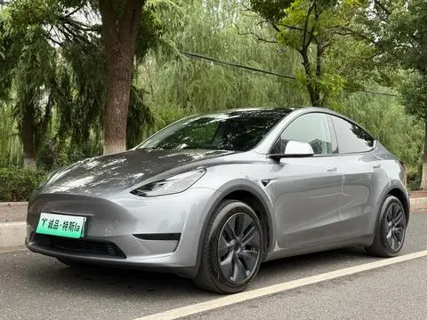 Tesla Model Y 2024 — фото 1