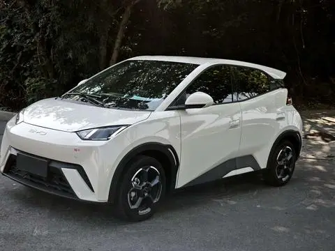 BYD Seagull 2024