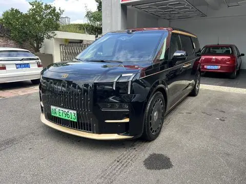 ZEEKR ZEEKR 009 2024