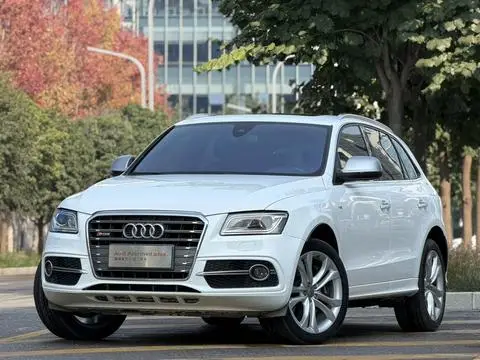 Audi SQ5 2014