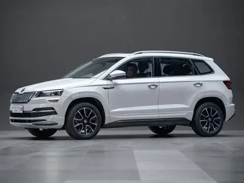 Skoda 柯珞克 2023
