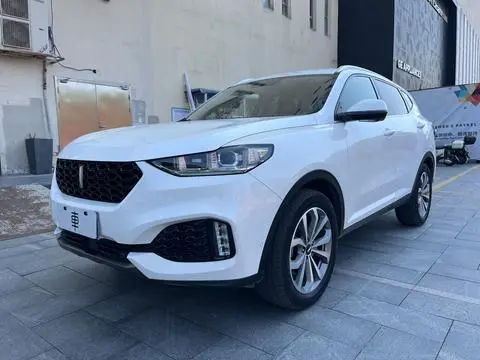 Wey VV6 2018