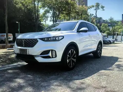 Wey VV6 2021